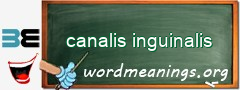 WordMeaning blackboard for canalis inguinalis